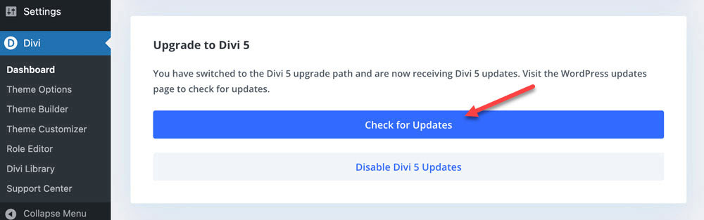 Click the Check for Updates button to check for Divi updates.