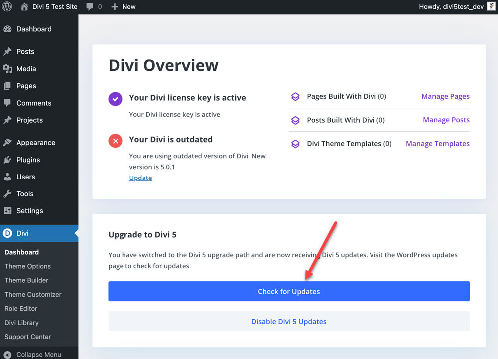 Divi overview screen with the Check for Updates button.